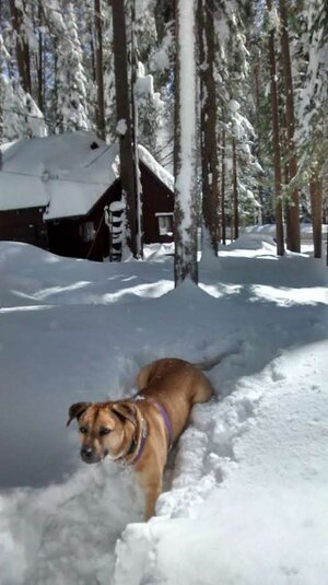 Kiva in Snow.jpg