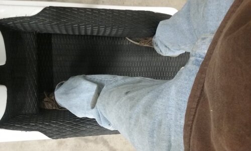 20191021_145529.jpg