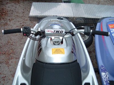 Silver top 2006_0422.JPG