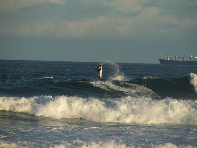 DSCF0449 (Large).JPG