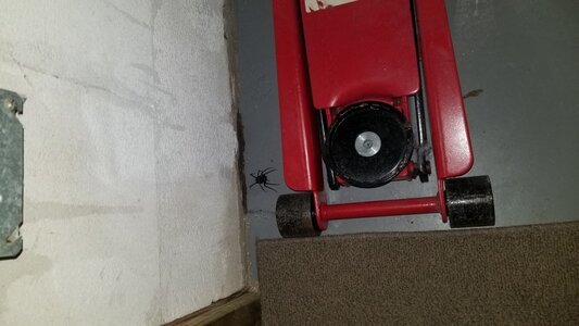 20200314_201502.jpg