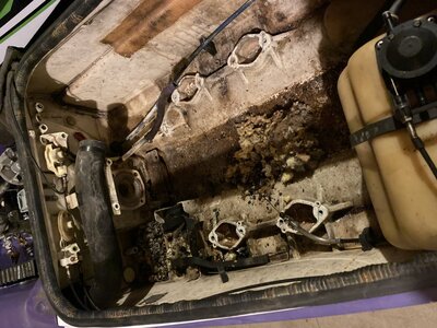 669F008E-46F5-4C04-AC78-2C5A1DB3BFE2.jpeg 669F008E-46F5-4C04-AC78-2C5A1DB3BFE2.jpeg