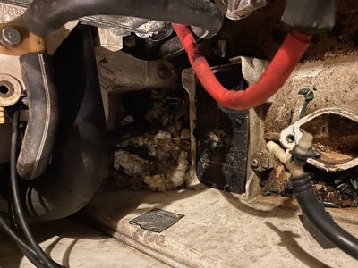 7A7B2810-FE7C-4F78-B4D9-EEB0F6085412.jpeg 7A7B2810-FE7C-4F78-B4D9-EEB0F6085412.jpeg