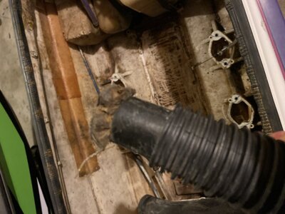 466B722B-8D7E-45B8-9583-3AED53CCF7BA.jpeg 466B722B-8D7E-45B8-9583-3AED53CCF7BA.jpeg