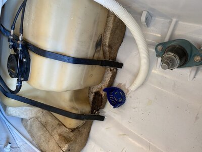 09532A38-5F51-4141-84D0-F8F8E2045C0E.jpeg 09532A38-5F51-4141-84D0-F8F8E2045C0E.jpeg