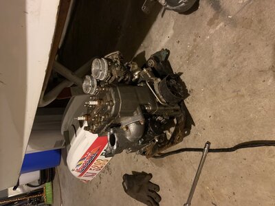 A0AD0CD7-3757-4CD9-8D29-15FF462F169B.jpeg A0AD0CD7-3757-4CD9-8D29-15FF462F169B.jpeg