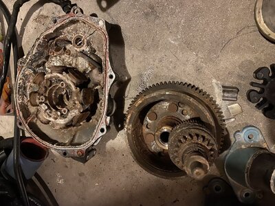 C3B75219-F189-4A76-8936-2D88508DBCE8.jpeg C3B75219-F189-4A76-8936-2D88508DBCE8.jpeg