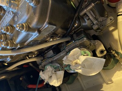 08AB4A8F-9205-45B0-A59B-1823B7DC6C1E.jpeg 08AB4A8F-9205-45B0-A59B-1823B7DC6C1E.jpeg