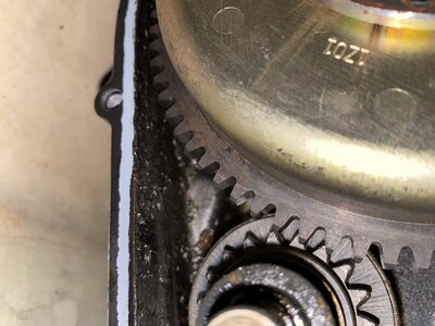 IMG-6338.jpg IMG-6338.jpg