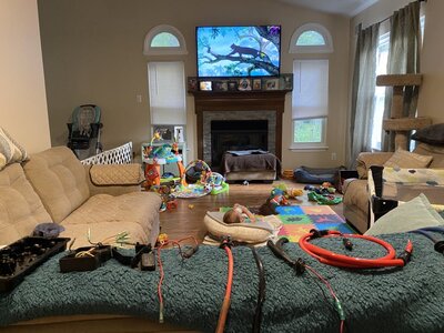 0FA3710A-4505-4A76-8D15-DCF7681E3097.jpeg 0FA3710A-4505-4A76-8D15-DCF7681E3097.jpeg