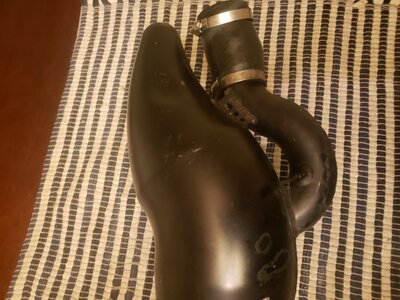 20200908_192456.jpg