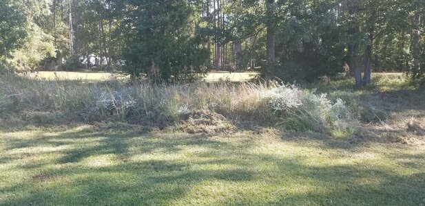 20201017_112139.jpg