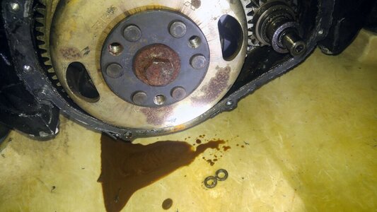 timing cover.jpg timing cover.jpg