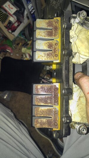 rusty reed cages.jpg rusty reed cages.jpg