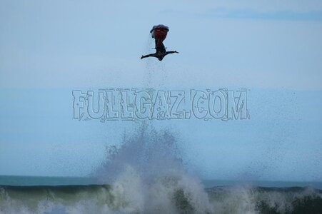 WTF08_31.jpg