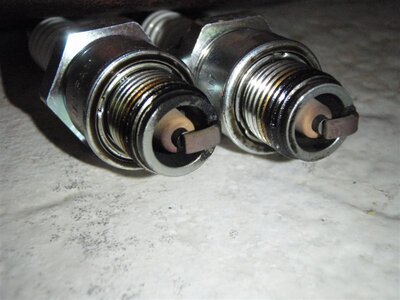 P4230029 (Medium).JPG
