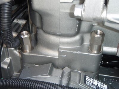 P4230030 (Medium).JPG