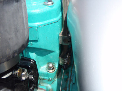 P4250029.JPG