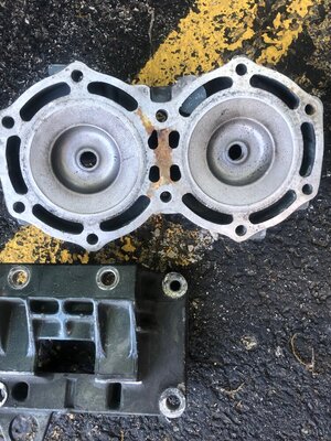 61x head 2.jpg