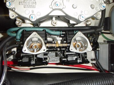 P5070049 (Medium).JPG