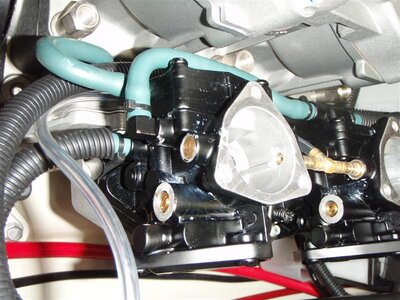 P5070052 (Medium).JPG