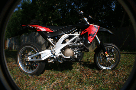 IMG_5560.gif