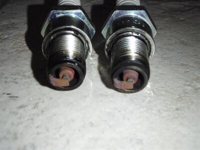 P5280112 (Medium).JPG