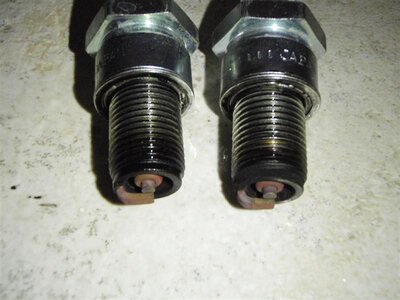 P5280116 (Medium).JPG