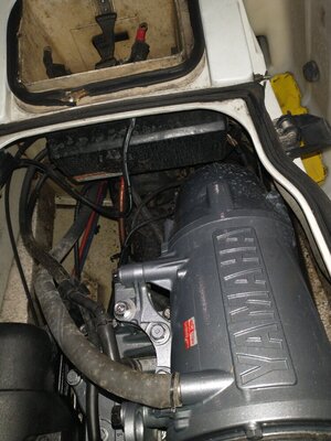 IMG_20220503_020844748.jpg