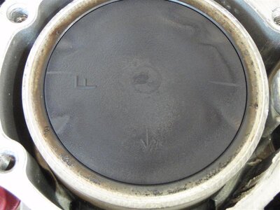 P5290129 (Medium).JPG