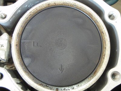 P5290131 (Medium).JPG