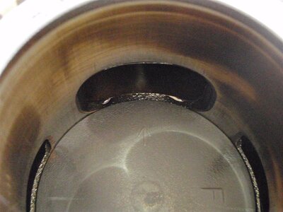 P5290132 (Medium).JPG