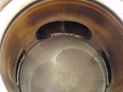 P5290135 (Medium).JPG