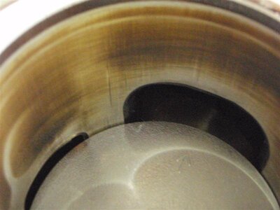 P5290137 (Medium).JPG