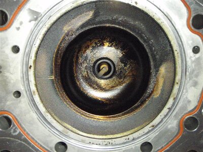 P5290119 (Medium).JPG