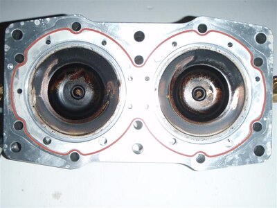 P5290121 (Medium).JPG