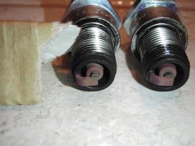 P5290146 (Medium).JPG