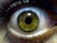 eyeball.jpg