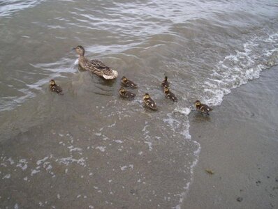 jetski races 007.jpg