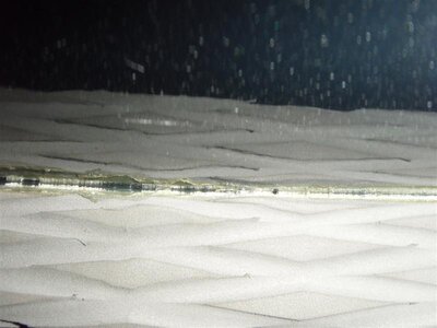 P6200206 (Medium).JPG