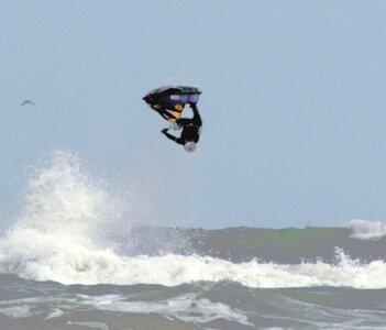 flipper upside down.jpg