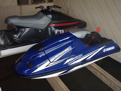 P4240036 (Medium).JPG