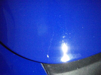 P6300246 (Medium).JPG