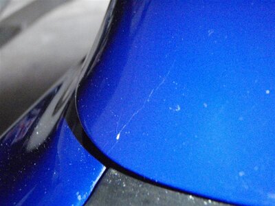 P6300247 (Medium).JPG