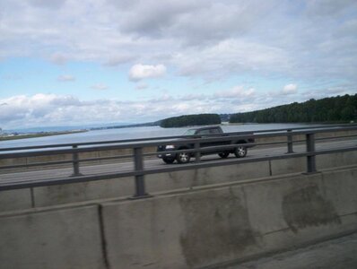 goverment island.jpg