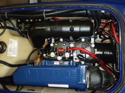 P7160011 (Medium).JPG