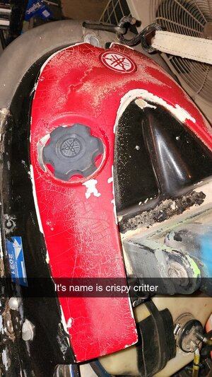 Snapchat-170771915.jpg