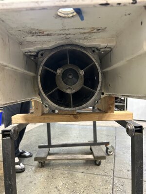 IMG_3687.jpeg