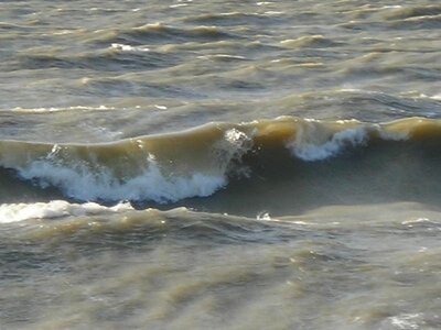 DSCN0729.jpg
