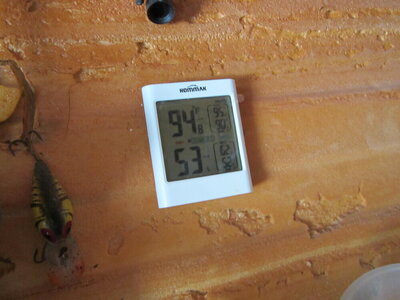 IMG_2920.JPG